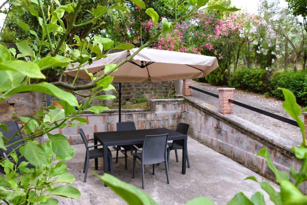 Mimosa Сasa de vacaciones