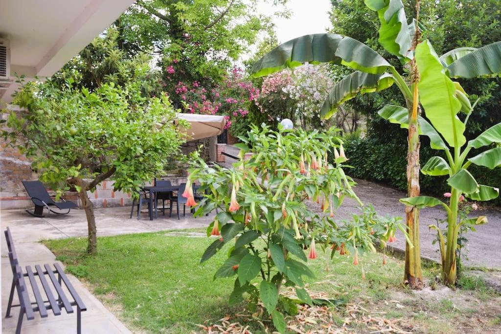 Сasa de vacaciones Mimosa