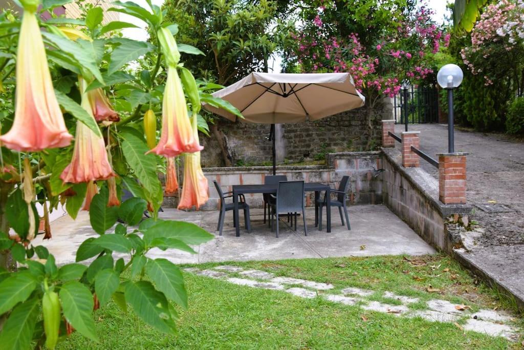 Mimosa Сasa de vacaciones Ripi